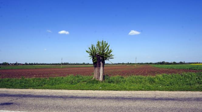 romania pamantul fagadintei pentru investitorii in terenurile agricole