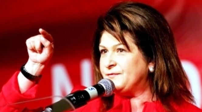 rovana plumb usl isi propune sa obtina cel putin 70 la suta din mandate pentru parlamentul european