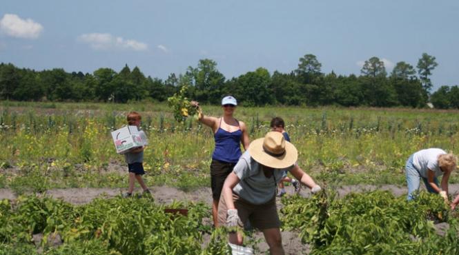 am fost sarac 30 de ani fara sa stiu ca am o comoara ce a descoperit un fermeier spaniol in curtea sa