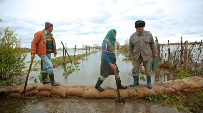 cod portocaliu debit dunare