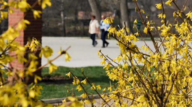 prognoza meteo pentru urmatoarele doua saptamani