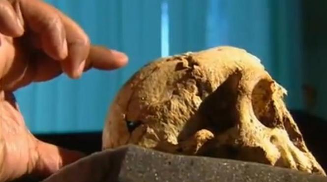 este o descoperire fascinanta ramasitele unui hobbit gasite de cercetatori pe o insula din indonezia video