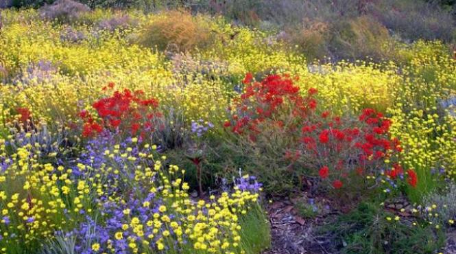 au inceput alergiile de sezon