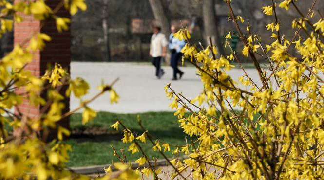 cum va fi vremea de 1 mai si de paste vezi prognoza meteo pentru fiecare regiune a tarii