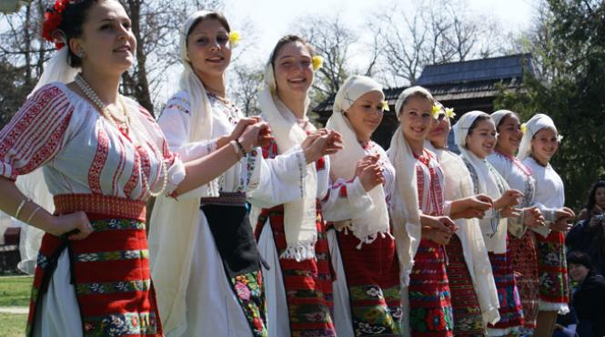 vin floriile cu soare la muzeul satului
