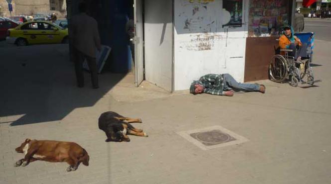 cazut pe datorie romanie profunda bea pe datorie si apoi se odihneste in strada laolalta cu cainii