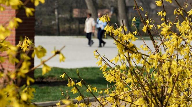 cum va fi vremea pe regiuni in perioada urmatoare prognoza meteo pentru intervalul 6 19 mai