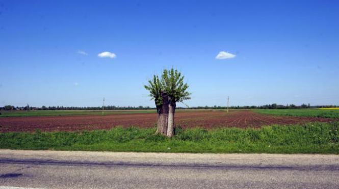 land grabbing sau cum ne vindem tara strainilor