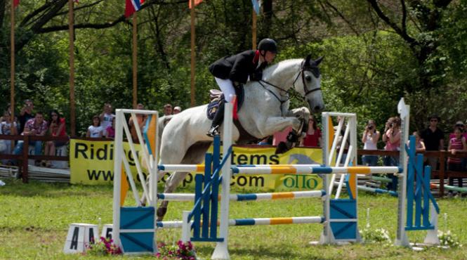 transylvania horse show