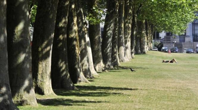 prognoza meteo pentru urmatoarele doua saptamani ce temperaturi vor fi si cat va ploua in fiecare regiune din tara