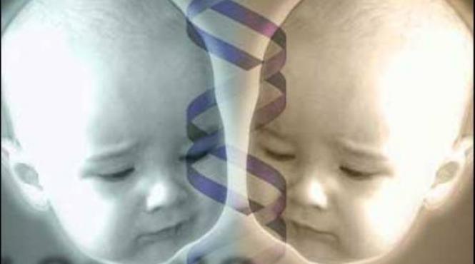 inca un pas spre clonarea umana oamenii de stiinta au extras in premiera celule stem din embrioni umani creati in laborator