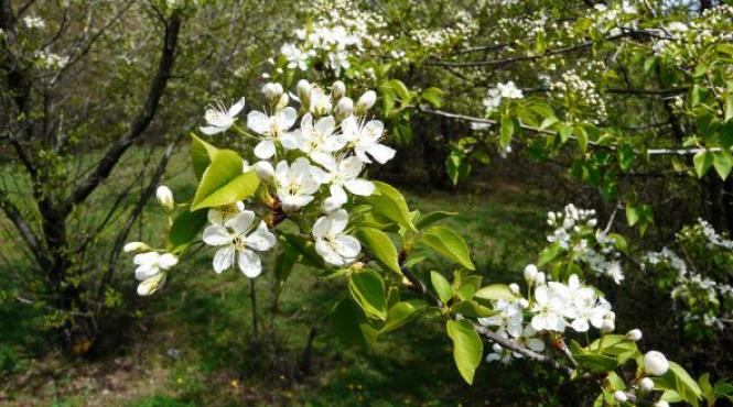 cum va fi vremea in perioada iunie august prognoza meteo pentru urmatoarele trei luni