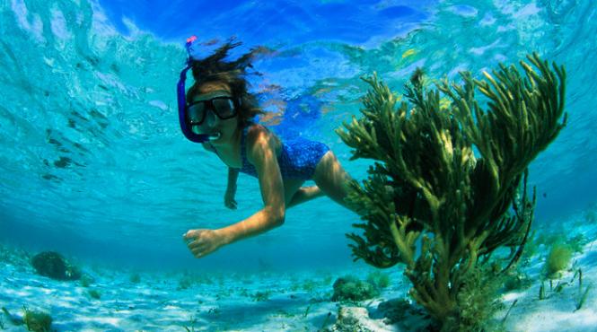 ce sporturi poti practica in malta