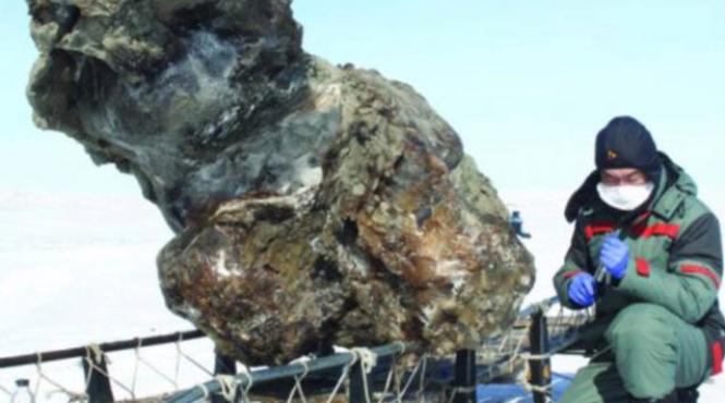 in pofida descoperirii de sange intr un exemplar de mamut excelent conservat clonarea este inca improbabila