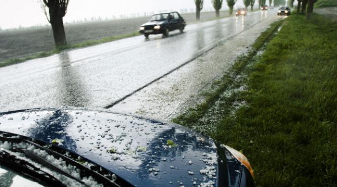 de 58 baia mare satu mare blocat din cauza copacilor doborati de vant