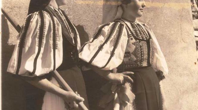 plante bune de leac plante bune de farmece