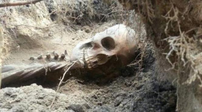 am crezut ca facem ceea ce trebuie nu poate fi adevarat ce au patit doi soti dupa ce au gasit in gradina un schelet vechi de 400 de ani