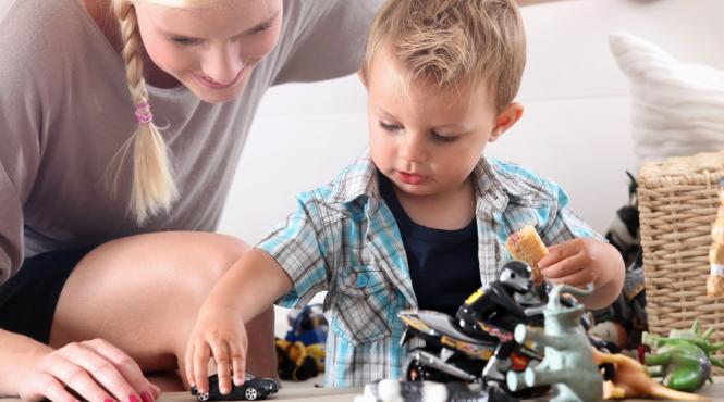 propunere legislativa bonele nu mai pot fi angajate fara calificare si evaluare psihologica