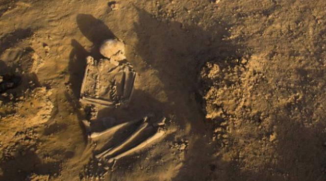 schelet politia locala sector patru