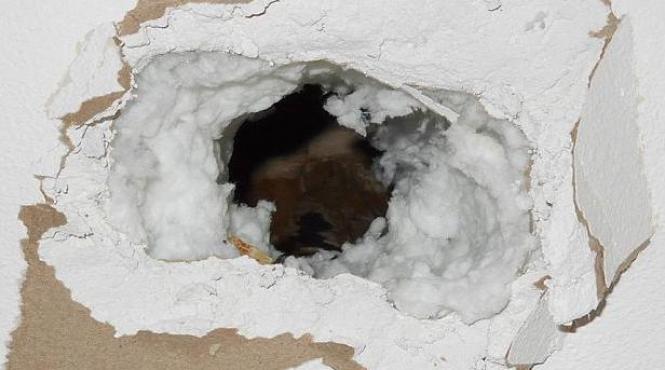 obiectul misterios care i a cazut prin acoperis unui barbat din statele unite nu ne putem explica