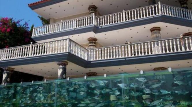 excentricitate de milionar si a inlocuit gardul vilei de lux cu un acvariu urias plin cu pesti si caracatite video