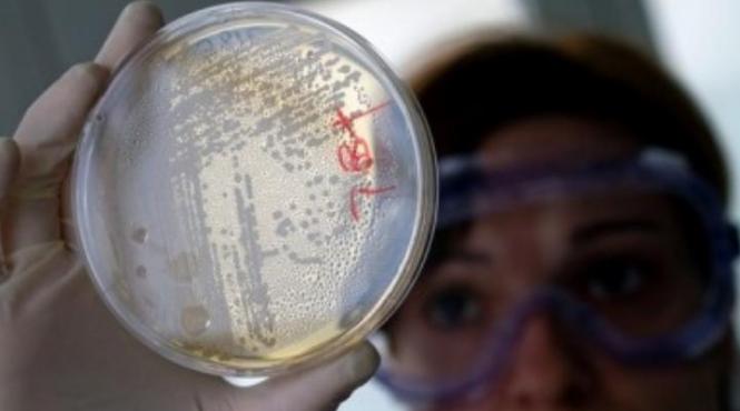 alerta de imbolnavire cu virusul ucigas west nile in grecia a fost inregistrat primul caz de febra west nile din acest an