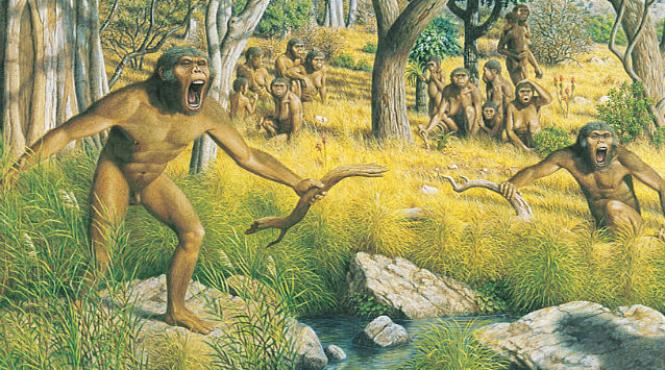 o bucata de cutit dovada existentei hominizilor in europa in urma cu 1 4 milioane de ani