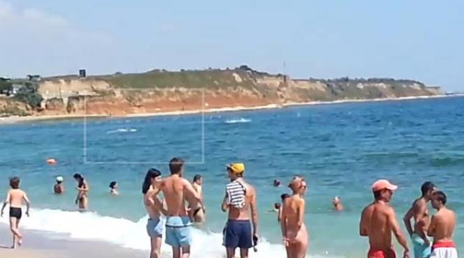 delfini la vama veche video