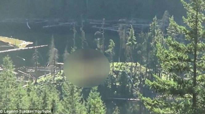 descoperire bizara in padure ce au filmat doi tineri care se plimbau prin salbaticie in provincia canadiana british columbia video