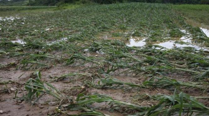 furtuna indundatii giurgiu