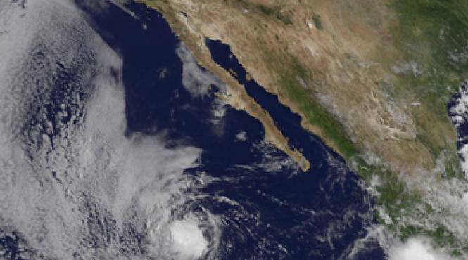 furtuna tropicala henriette pacific