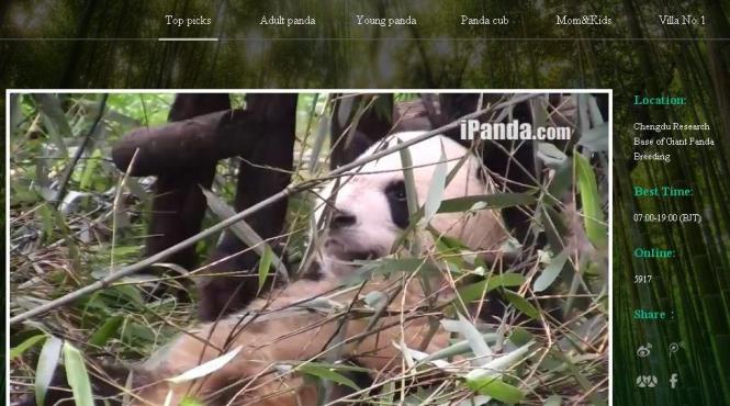 china a lansat canalul online panda tv