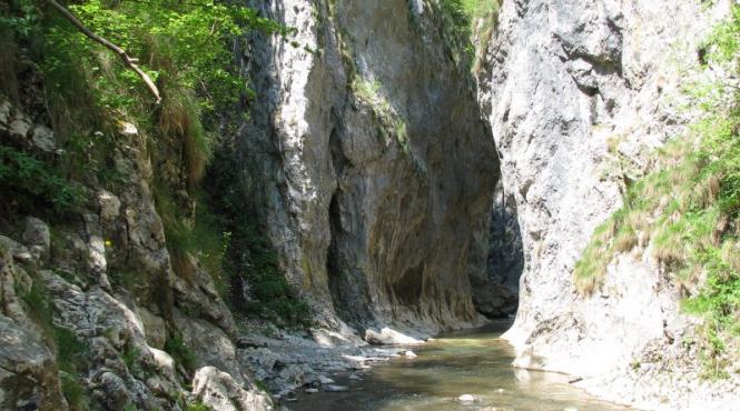 desene cu steagul ungariei in rezervatia naturala cheile rametului