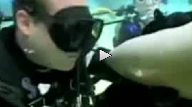 marcel a pupat un rechin in bot ce a urmat a lasat fara aer toti scafandrii video