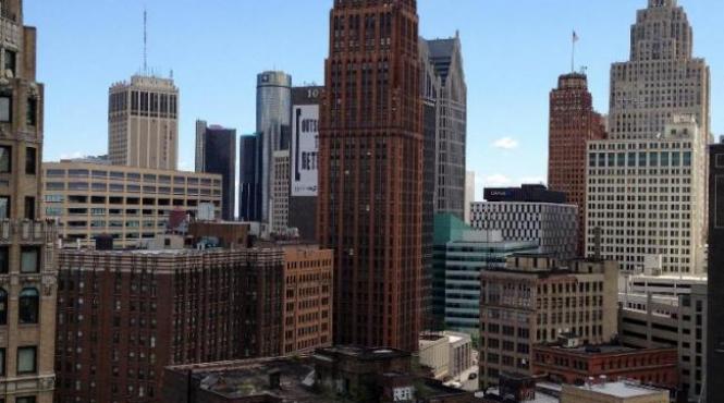 maidanezii au pus stapanire pe strazile falitului detroit