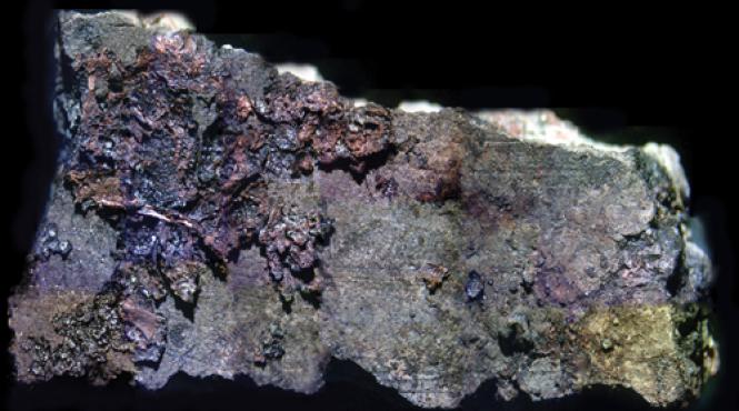 revolutioneaza stiinta delicii gastronomice ale gurmanzilor din neolitic