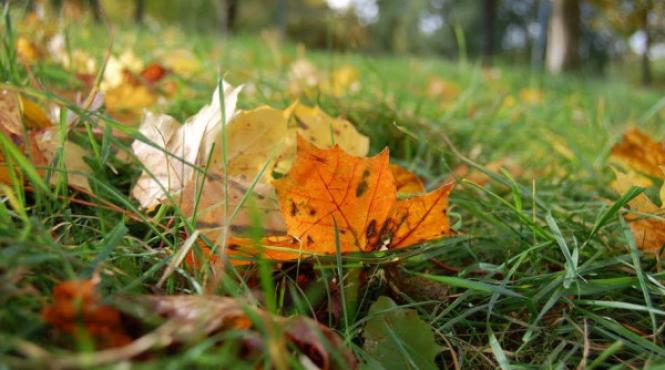 vreme frumoasa in bucure ti in prima zi de coala vezi prognoza meteo pentru urmatoarele trei zile