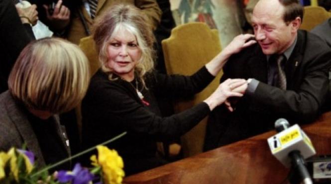 scrisoarea trimisa de brigitte bardot lui barroso presedintele basescu este primul responsabil in situatia maidanezilor din romania