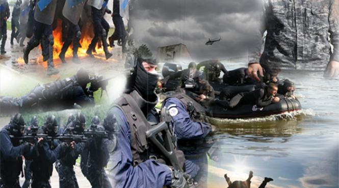 demonstratii ale armatei romane la aeronautic show 2013