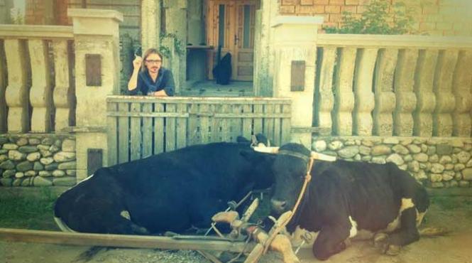 brick in the wall cel mai bun de la aristoteles workshop 2013