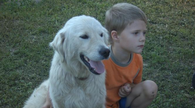 iesirea din autism atentia si dedicarea parintilor nu le pot inlocui nici un terapeut si nici toti banii din lume