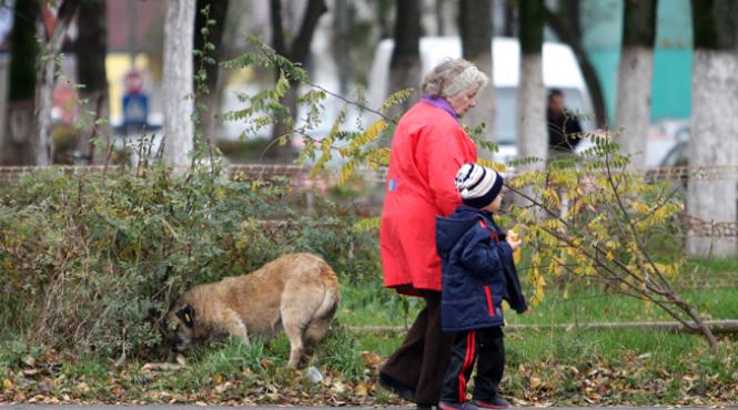 tragedia lui ionut primii vinovati