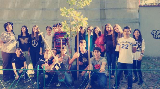 planteaza un copac pentru pace