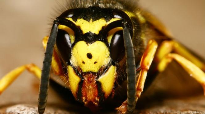 viespile au ucis cateva zeci de persoane intr o provincie din china