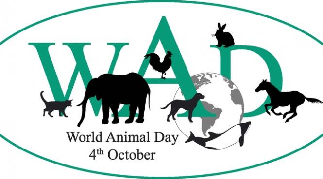 astazi este ziua internationala a animalelor