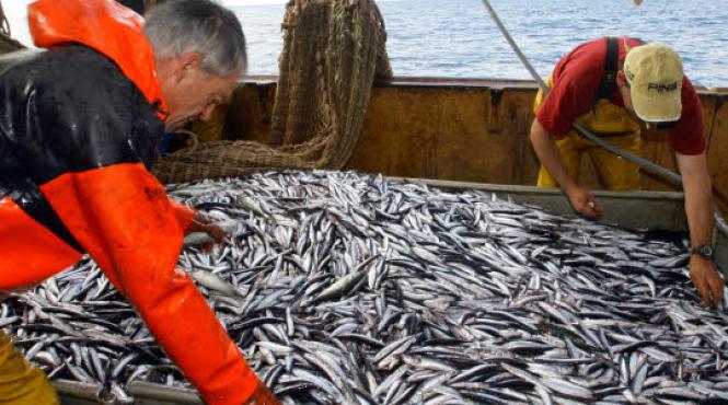 bucataria lumii l ampoua pestisorul fermecat al mediteranei