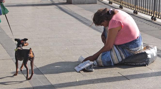 cersesti in spania 1500 de euro amenda