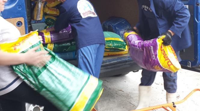 mancare gratuita pentru cainii adoptati