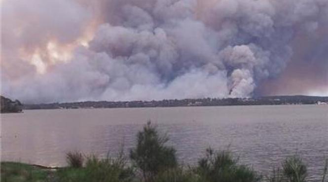 armata australiana la originea unui dezastru national