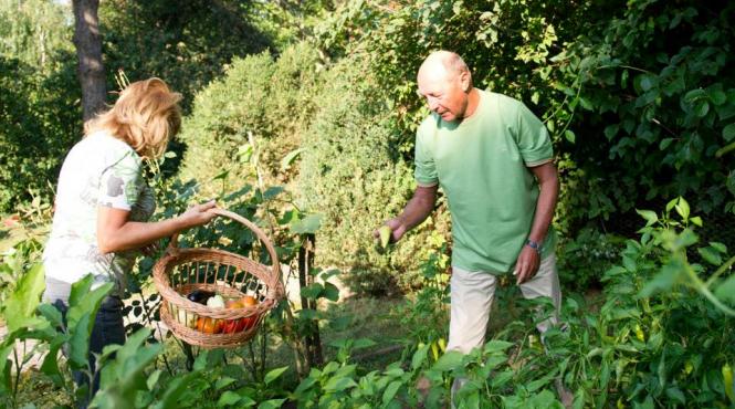 basescu un mic horticultor presedintele se lauda pe facebook cu gradina sa de legume